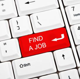 Hunting for the Perfect Summer Job